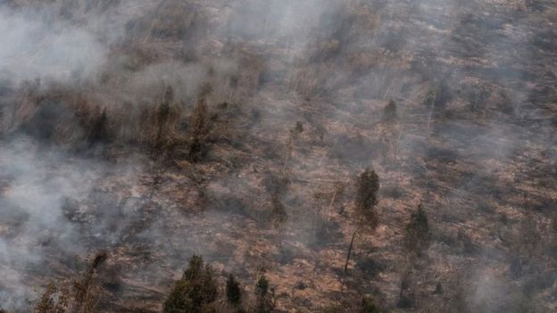 kebakaran hutan dan lahan