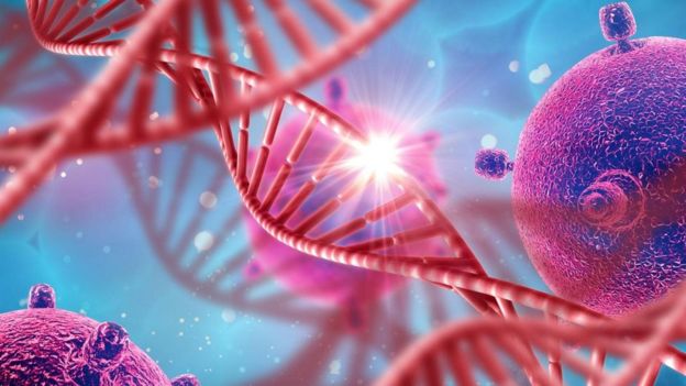 صورة علمية لحركة الجينات