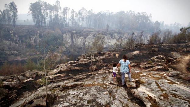 A burned forest landscape is inspected by a mother and child from a ridge in As Neves, Galicia