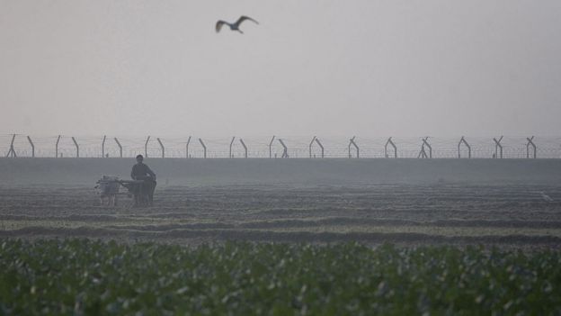 ভারত-বাংলাদেশ সীমান্তে কাঁটাতারের বেড়া।