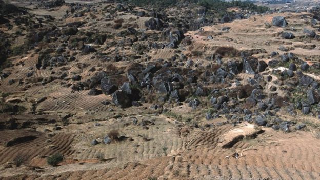 சித்தரிப்புப் படம்