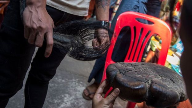 A vendor shows an elephant tail at the traditional medicine in the Mon State