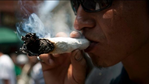 La estrategia de pacificaciÃ³n de AMLO incluye legalizar el cultivo de marihuana.