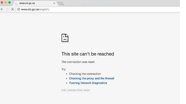 Canada's immigration website crashes during US vote - BBC News