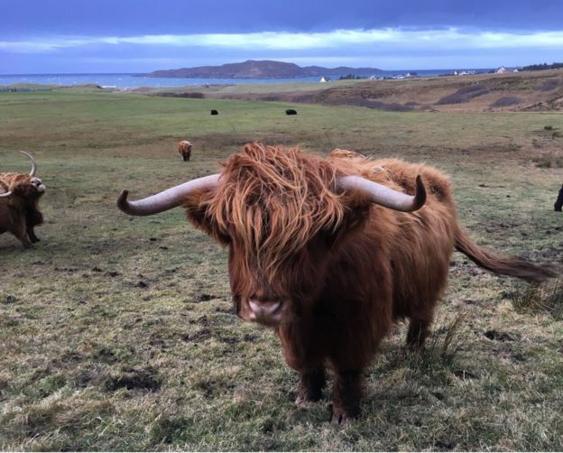 Your pictures of Scotland - BBC News