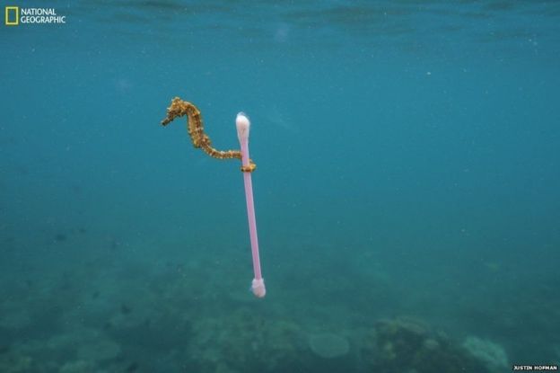 புகைப்படம்