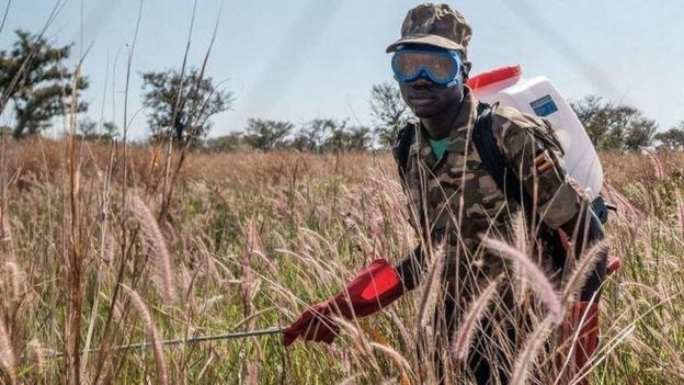 Ugandan soldier spraying crops