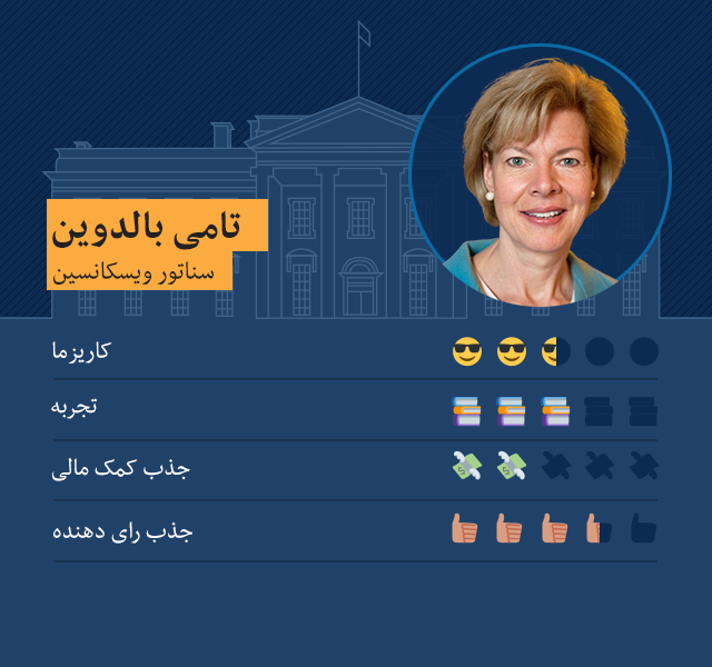 تمی بالدوین، سناتور ویسکانسین