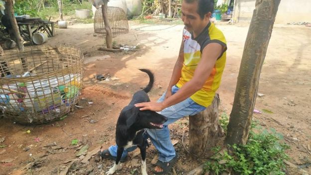 පින්ග්පොන් ඌසා නිසයිකා බල්ලා තායිලන්තය