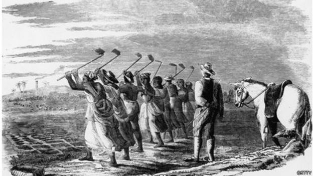 Un dibujo muestra a esclavos trabajando la tierra mientras son supervisados por un hombre.