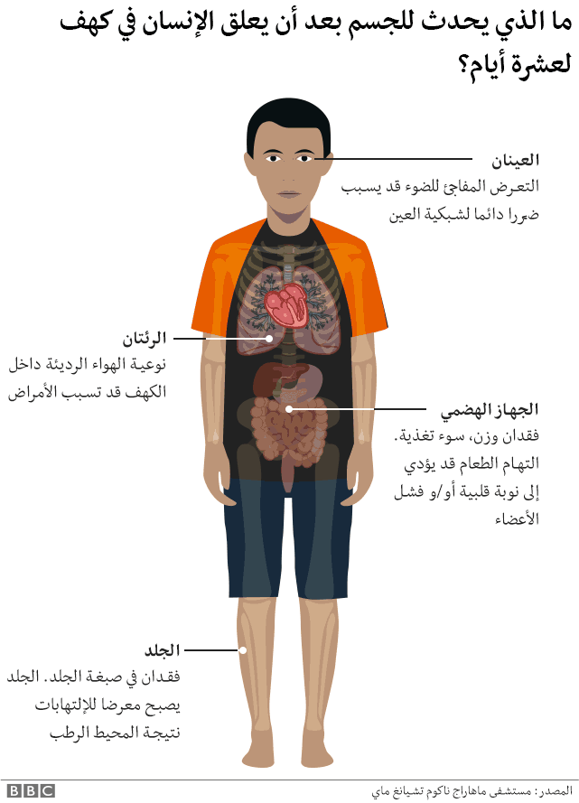 مخطط