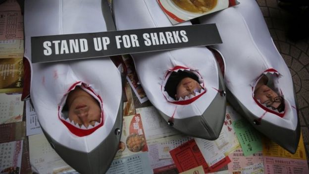 Aksi protes menentang perdagangan sirip hiu.