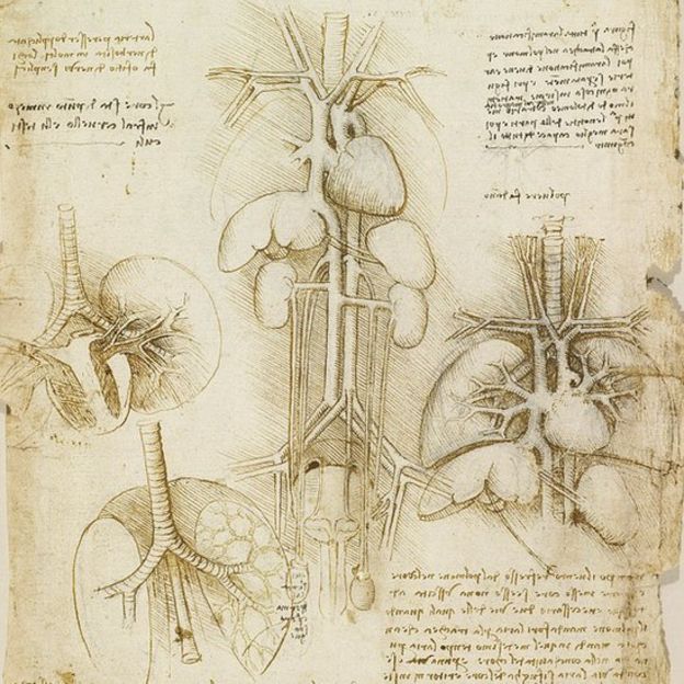 Estudios del corazón hechos por Leonardo Da Vinci alrededor de 1508.