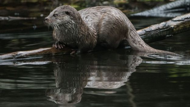 ஓரிரு வரிகளில் உலகச் செய்திகள்