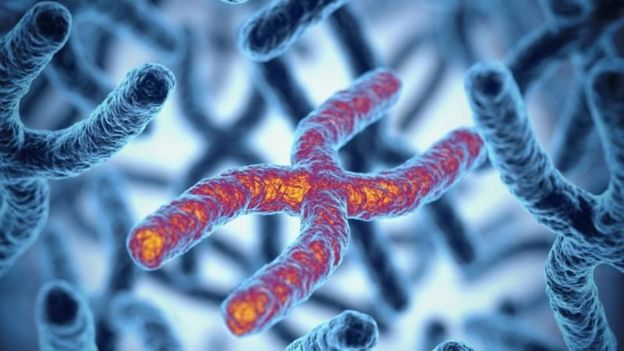 เราอาจจะใช้ควอนตัมคอมพิวเตอร์ค้นหาโมเลกุลที่รักษาโรคทางพันธุกรรมได้