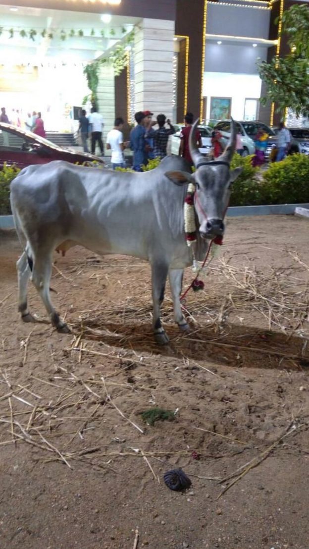 திருப்பூர்: வித்தியாசமாக நடந்த இயற்கை திருமணம்