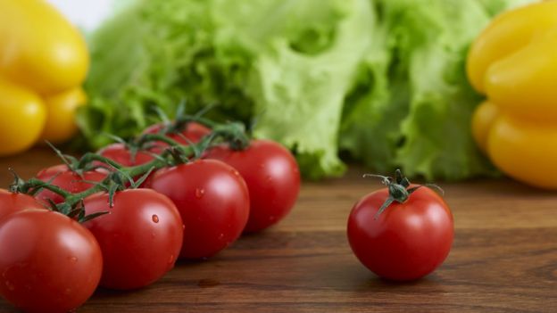 Tomatoes, lettuce and peppers