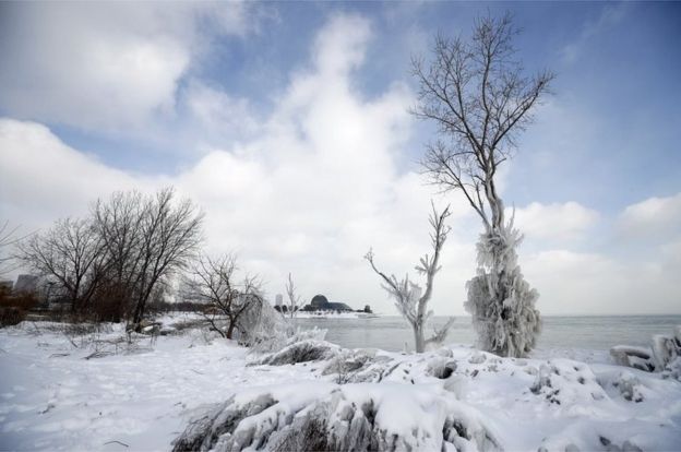 पोलर वोर्टेक्स, polar vortex, US Cold