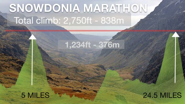 Graphic: Snowdonia Marathon climbs 2,750ft along its route - that's 838m