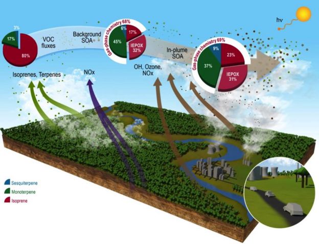 Um infográfico sobre o impacto da poluição em Manaus na atmosfera amazônica, publicado na revista Nature Communications