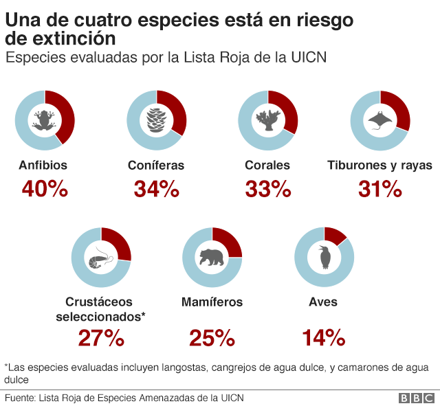 Gráfico especies en extinción