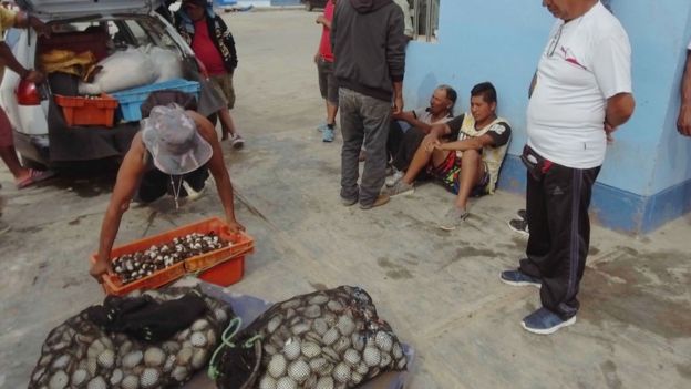 Pescadores intentando vender su marisco en el puerto de Pisco