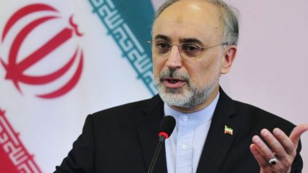 علی اکبر صالحی رئیس سازمان انرژی اتمی ایران و معاون حسن روحانی است