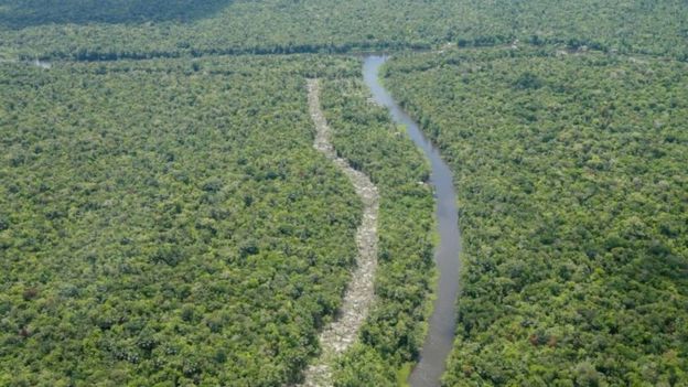 Trecho da floresta amazônica