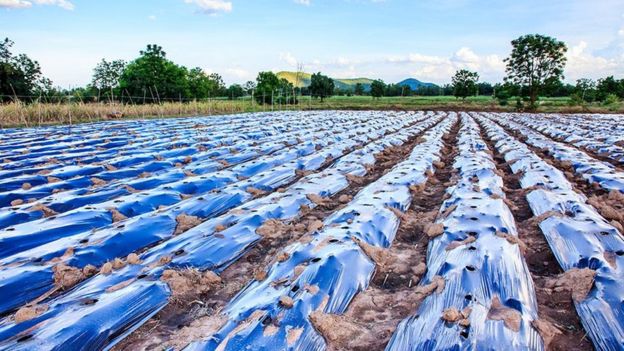 لماذا تتخطى مشكلة البلاستيك في الطعام حدود تصورنا؟