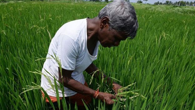 நெல் கொள்முதல் நிலையங்களை மூட மத்திய அரசு காரணம் சொல்லவில்லை: அமைச்சர் காமராஜ்