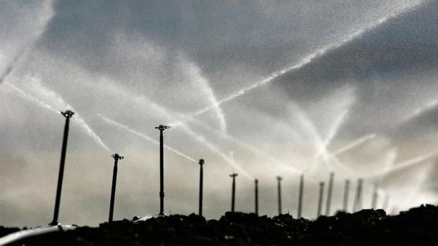 Regaderas en un campo