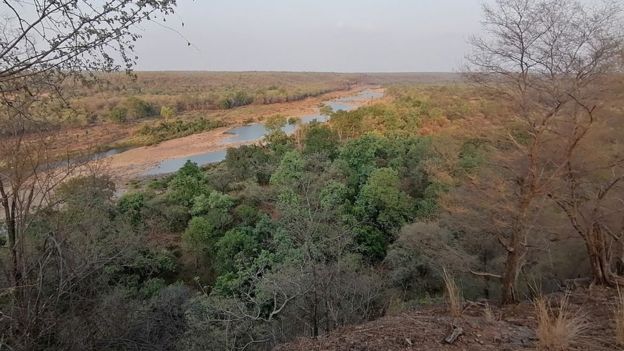 Inside India's Plan To Bring Back Extinct Cheetahs - BBC News