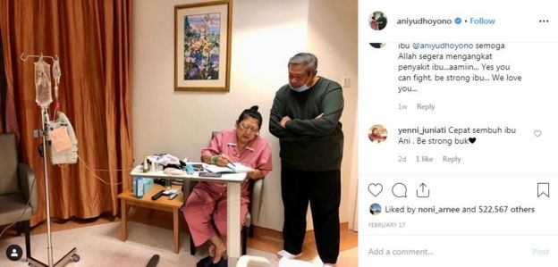 Ani Yudhoyono
