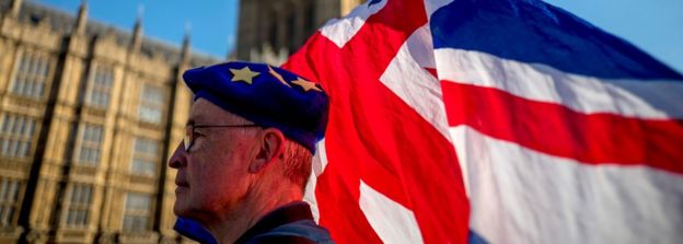 Brexit protester