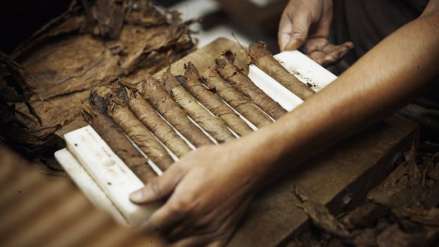 Producción manual de puros.