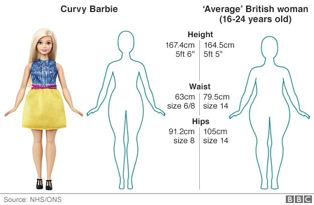 barbie real life dimensions