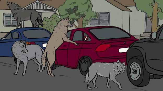 Ilustração de motoristas do Uber cercadas por lobos