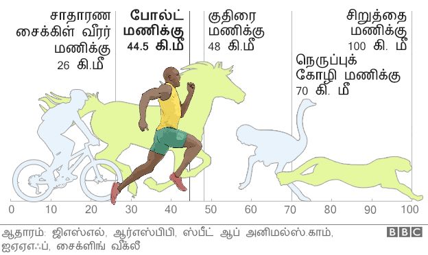 9 முறை உலக சாம்பியனின் சாதனை பயணம் வரைபடங்களில்
