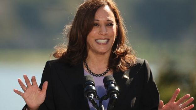 Kamala Harris One Year: Where Did It Go Wrong For Her? - BBC News