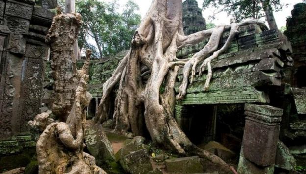 Árboles y raíces tomaron el templo de Ta Prohm en Camboya.