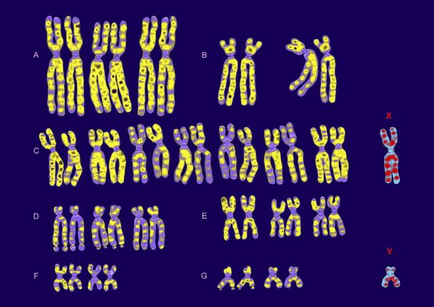 اÙÙØ±ÙÙ
ÙØ³ÙÙ