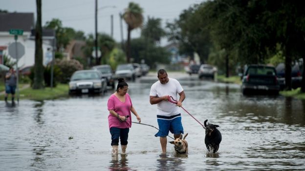 In Pictures: Texas Battered By Hurricane Harvey - BBC News