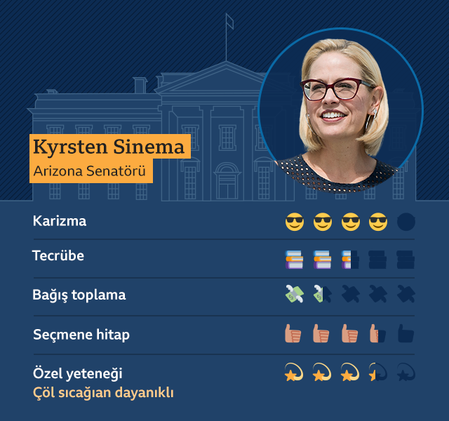 _113053905_biden_vp_kyrsten_sinema_640-n