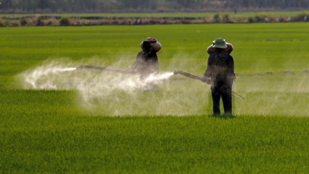 Fazenda recebendo tratamento com agrotóxicos