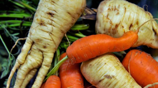 Zanahorias con formas diferentes