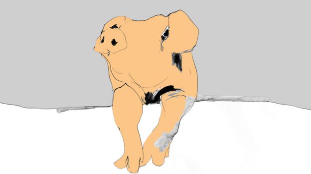 Illustration of a pig