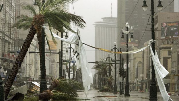 Trees blown over in the street by Hurricane Katrina, New Orleans, 2005