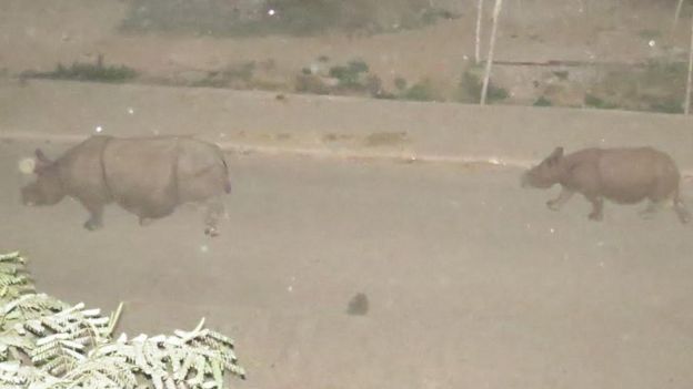 à¤¸à¤¡à¤à¤®à¤¾ à¤à¥à¤à¤¡à¤¾