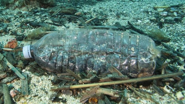 Imagem mostra garrafa de plástico no fundo do mar