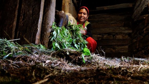 বিমলা দেবী।